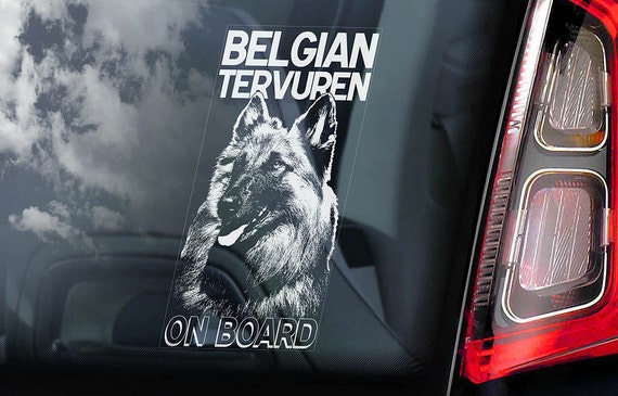 Belgian Tervuren on Board - Car Window Sticker - Tervueren Chien de Berger Dog Sign Decal Art Gift - V01