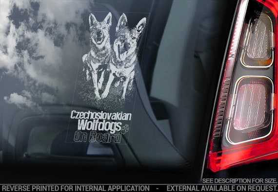 Czechoslovakian Wolfdogs on Board - Car Window Sticker - Vlcak Cane Lupo Cecoslovacco Sign Decal - V21