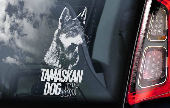 Tamaskan Dog on Board - Car Window Sticker - Tam Husky Sign Decal - V02