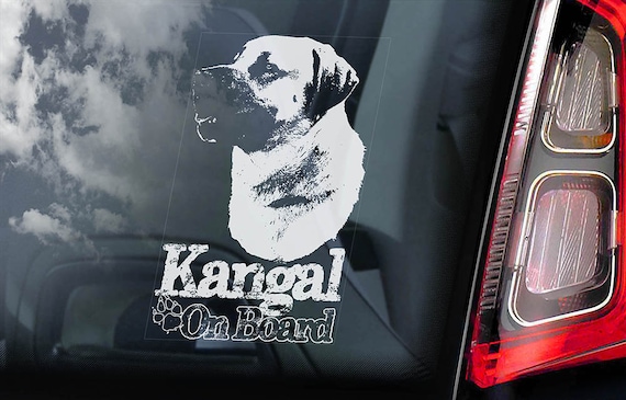 Kangal on Board Car Window Sticker Turkish Sivas Dog Sign Decal -V01