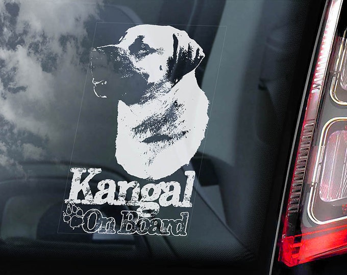 Kangal on Board - Car Window Sticker - Turkish Sivas Dog Sign Decal  -V01
