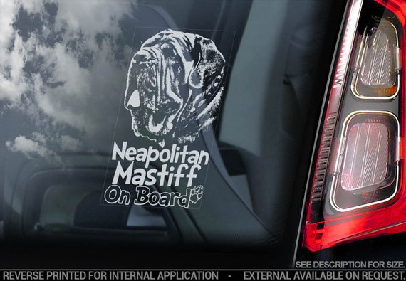 Panneau Plastique Attention Au Chien Matin De Naples