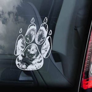 Belgischer Malinois an Bord - Autoaufkleber - Mechelse Herder Sicherheit K9 Hund Schild Aufkleber -V23