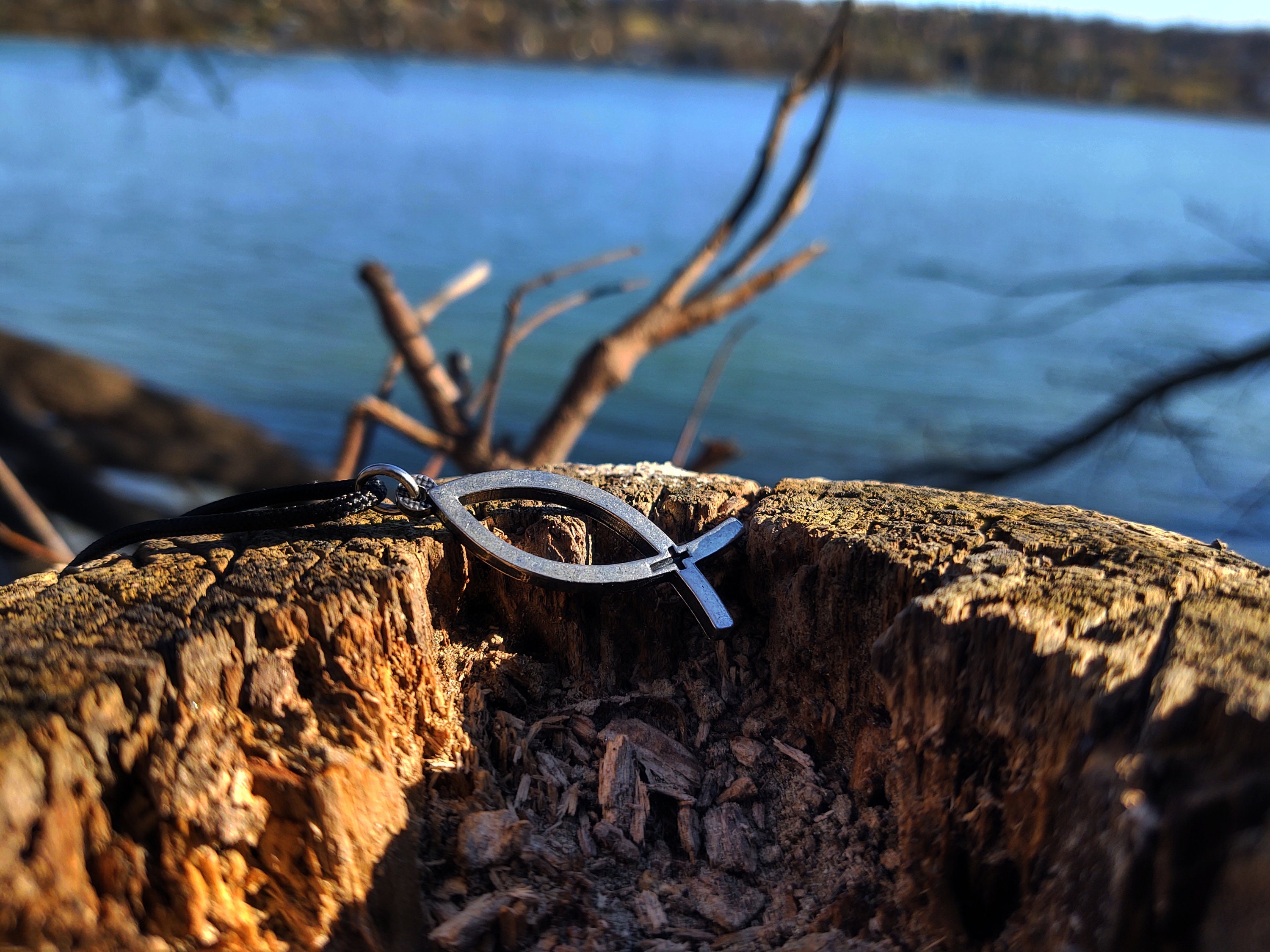 Collana Cristiana Ichthus Donna - Simbolo Pesce Ges&ugrave;, Acciaio Inossidabile, Regalo Religioso