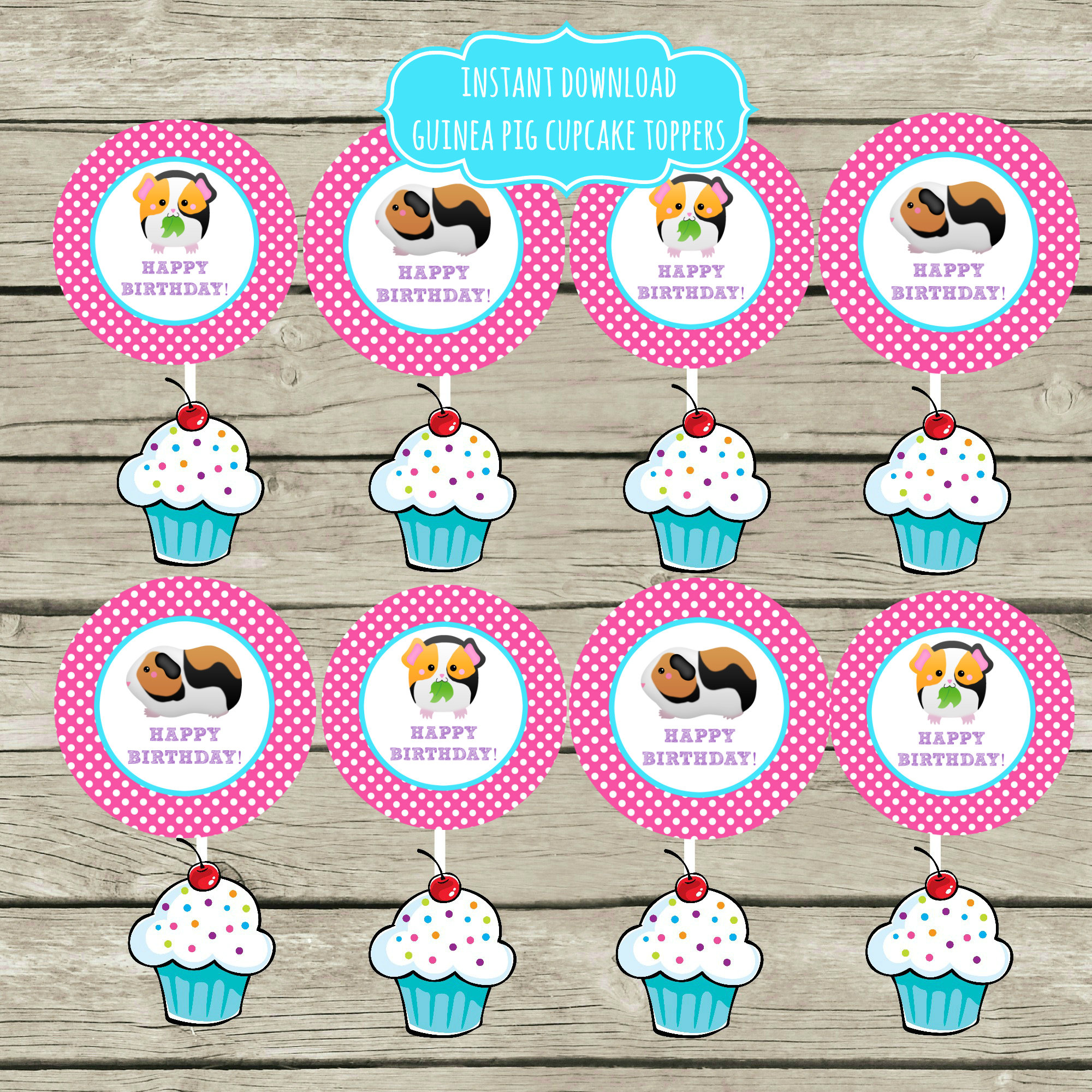INSTANT Guinea Pig Birthday Party Cupcake Toppers Tags Stickers Labels Printable Happy Birthday 2.5 inch Circles