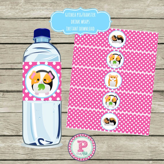 diy guinea pig water bottle