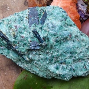 Blue Kyanite in Green Fuschite Matrix - Mineral Specimen