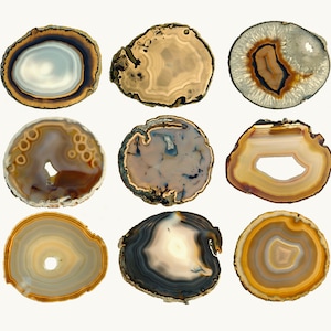May include: Nine agate slices with various patterns and colors, including brown, white, and gray. The slices are arranged in three rows of three.