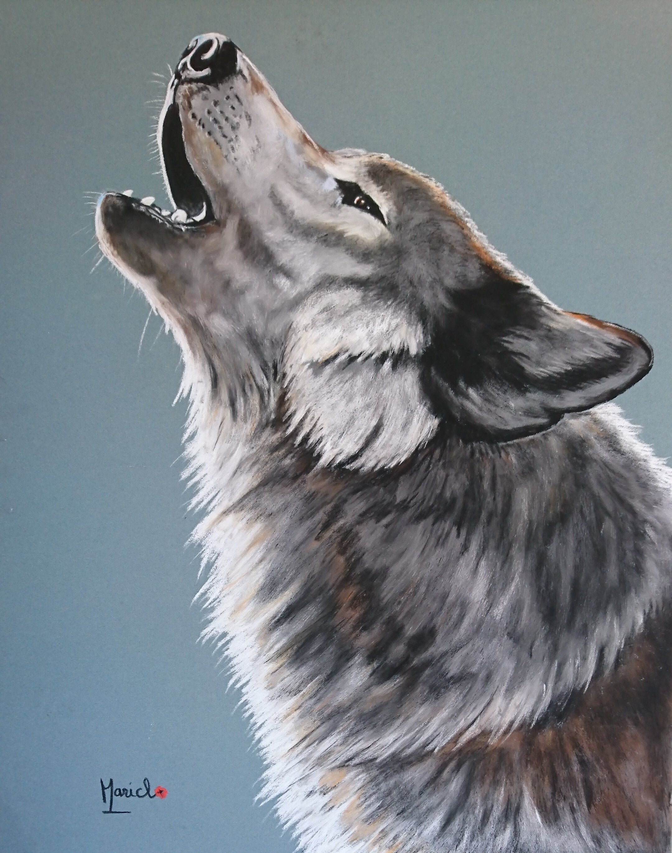 L'appel, Loup Hurlant, Reproduction sur Toile.