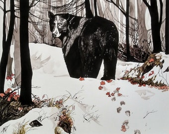 Black Bear, winter, fall, forest, Maine woods, wild animal, seasons, fine art print, giclee, original, limited edition, story, nature, art