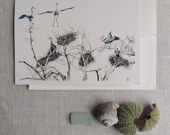 Rookery, great blue heron, nest, birds, audubon, sketch, art, drawing, watercolor, card, recycled paper, nature, Maine,
