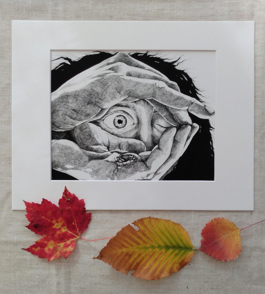 Cricket Portrait up Close Eyeball Pen and Ink Unique Etsy