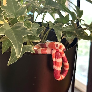 Polymer Clay Milk Snake Plant Hanger: Tangerine Abino Morph