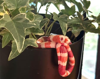 Realistic Handmade Milk Snake - Tangerine Albino Morph - Polymer Clay Plant Buddy