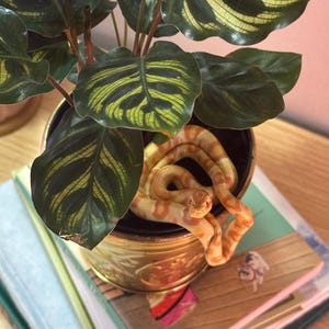 Hanging Butter Corn Snake Size Large - for Houseplant Planter Decor Realistic Hand Sculpted Polymer Clay Plant Totem Albino Snake Morph