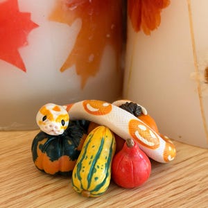 May include: A display of miniature gourds and a decorative snake figurine. The gourds are in various shapes and colours, including green, yellow, and red. The snake is white with orange and yellow accents. The scene is set against a backdrop of candles.