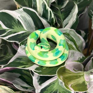 Magical Green Corn Snake Size Medium - Hand Sculpted Polymer Clay Totem or Plant Decor Albino Snake Morph Nature Green Serpent