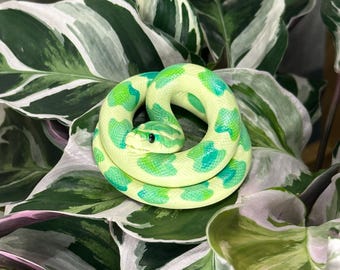 Handmade Green Corn Snake - Polymer Clay Figurine