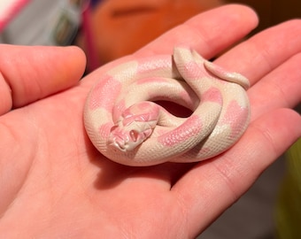 Handmade Magical Corn Snake - Sparkly Pastel Pink - Polymer Clay Sculpture