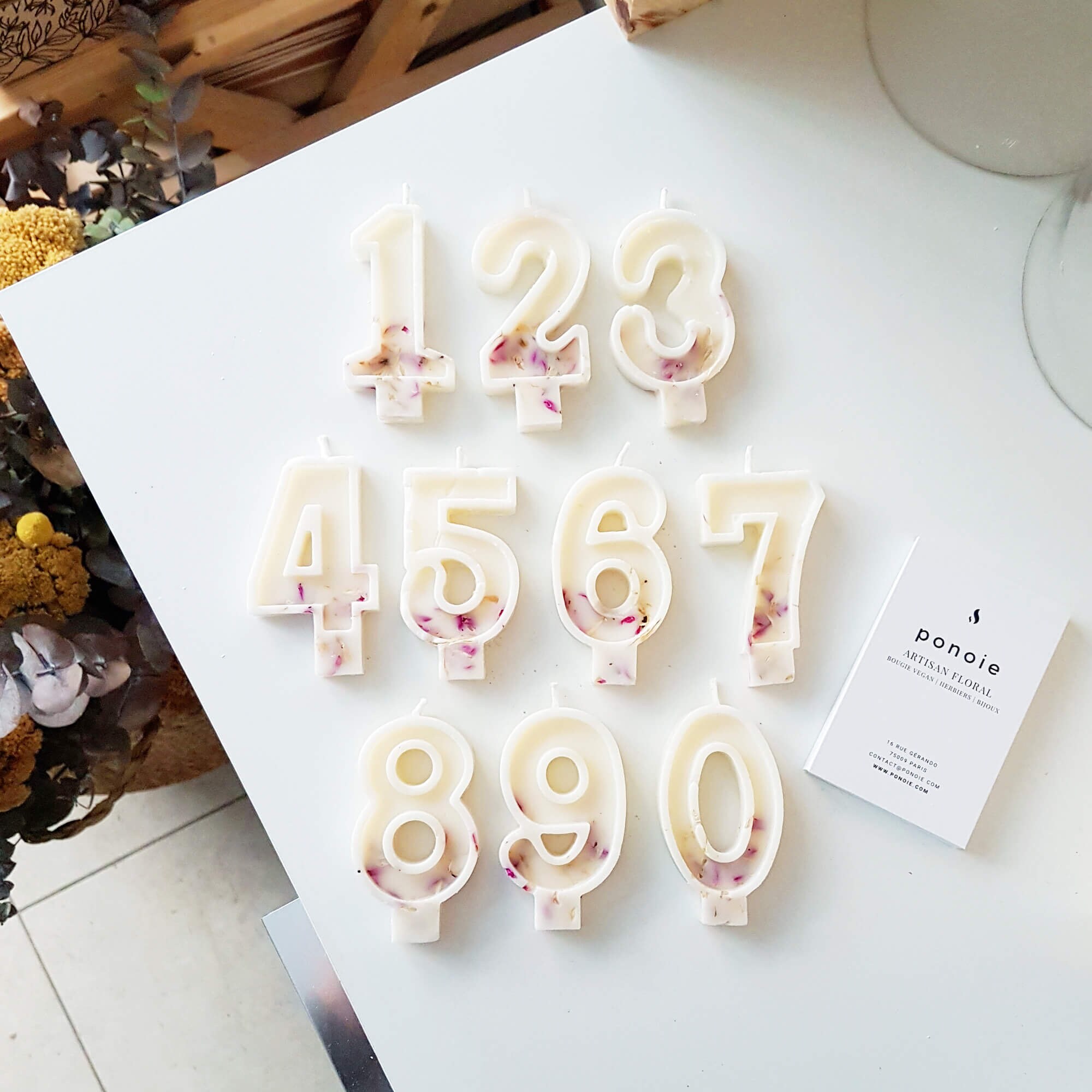 Bougie Anniversaire Vegan - Amarantoïde et Chrysanthème