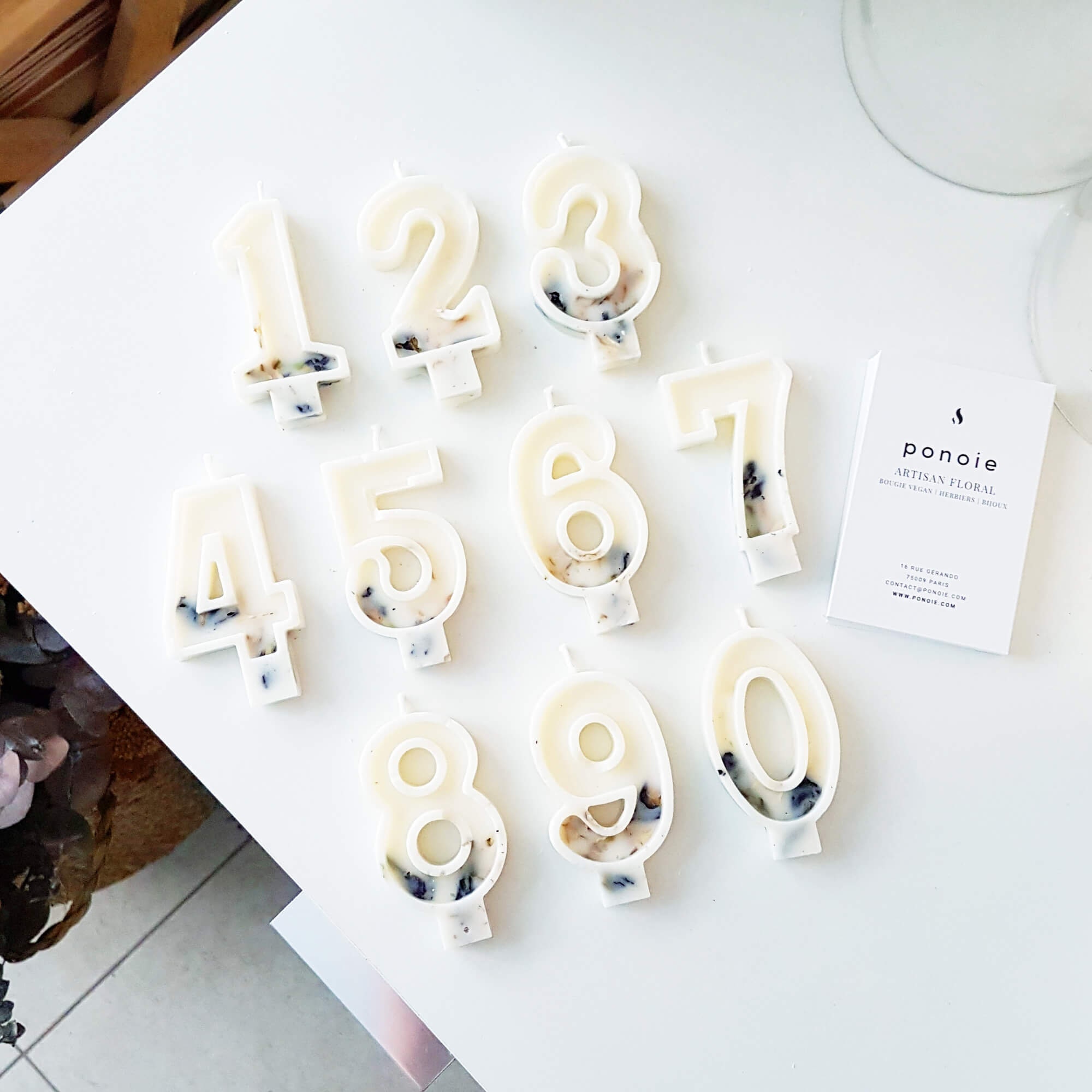 Bougie Anniversaire Vegan - Pois Bleu et Chrysanthème