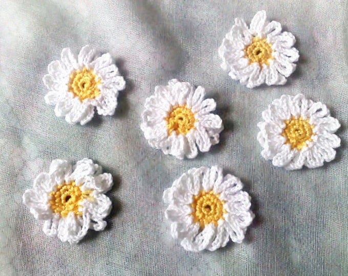 Daisies, crocheted white flower application