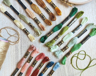 12 Skeins DMC Embroidery Thread Curated Bundle