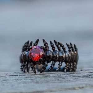 May include: Black ring with a red gemstone in the centre, shaped like a centipede with segmented legs.