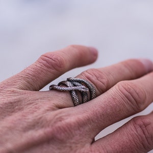 925 Silver Snake Ring Men Cobra Ring with Snake Pattern Gift for Husband Boyfriend Black Mamba Ring Jewelry Serpent Signet with Snake Skin image 7