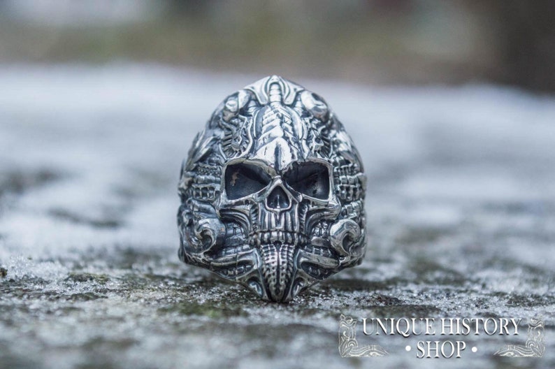 Peut inclure: Une bague argent&eacute;e d&eacute;taill&eacute;e en forme de cr&acirc;ne avec des gravures complexes. La bague pr&eacute;sente un design de cr&acirc;ne avec des traits faciaux d&eacute;taill&eacute;s et des ornements. La bague est pos&eacute;e sur un fond flou et enneig&eacute;. Le texte "UNIQUE HISTORY SHOP" est visible.