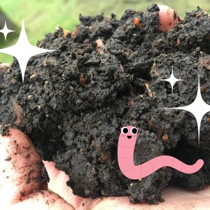 May include: A close-up of dark brown soil with a pink cartoon worm with googly eyes smiling. The soil is rich and appears to be good for gardening.