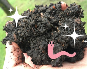Vermicompost for growers, houseplants, vegetable gardens, PLANTS! From home worm bin + healthy kitchen scraps