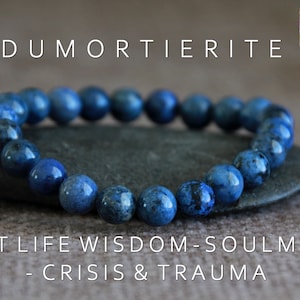 May include: A blue Dumortierite gemstone bracelet with the text "PAST LIFE WISDOM - SOULMATE - CRISIS & TRAUMA" on a grey background.