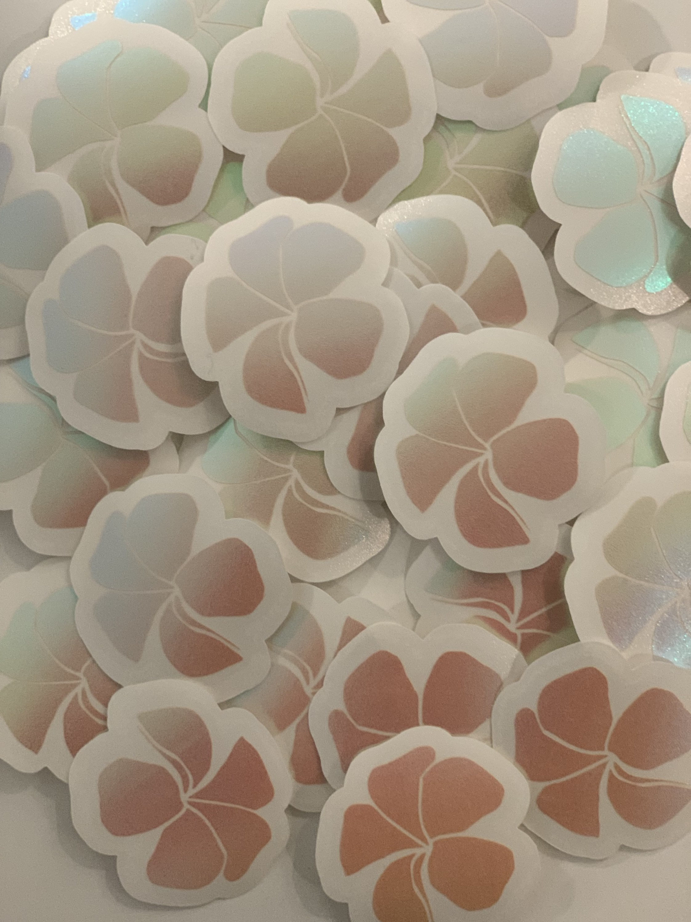 Plumeria Decals - Etsy