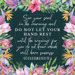 Do not let your hand rest Magnets | Ecc. 11:6 | JW Magnets