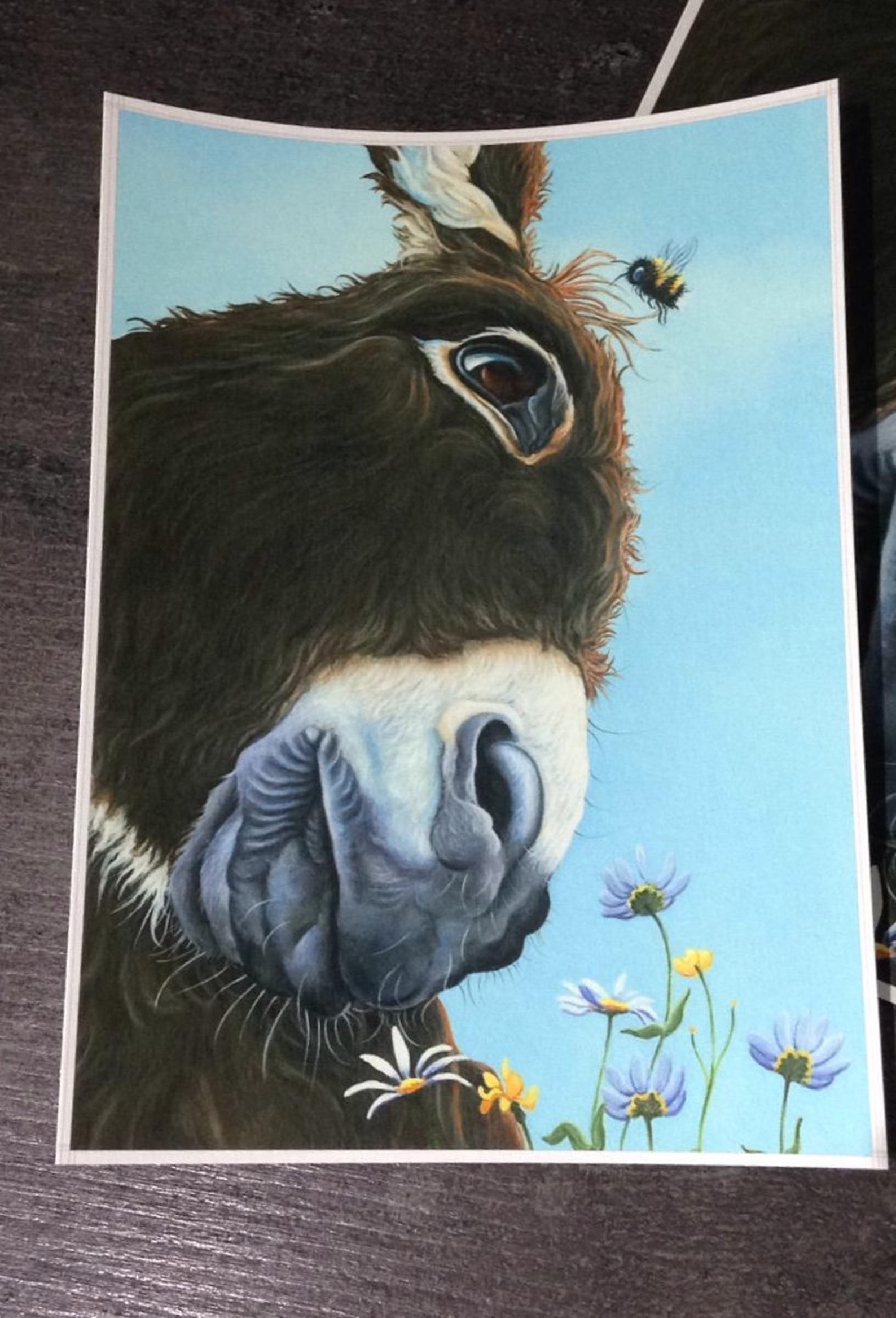 Donkey Prints Painting Gift Art Picture Etsy