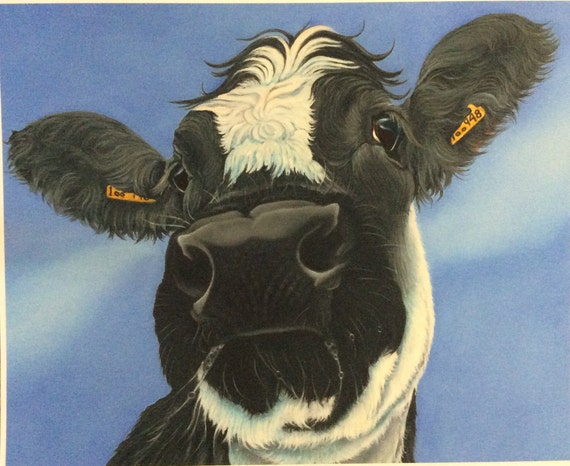 Featured image of post View 10 Vacas Con Aros En La Nariz