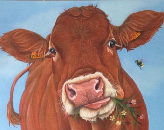 Limousin cow print on canvas, gift, art and original painting