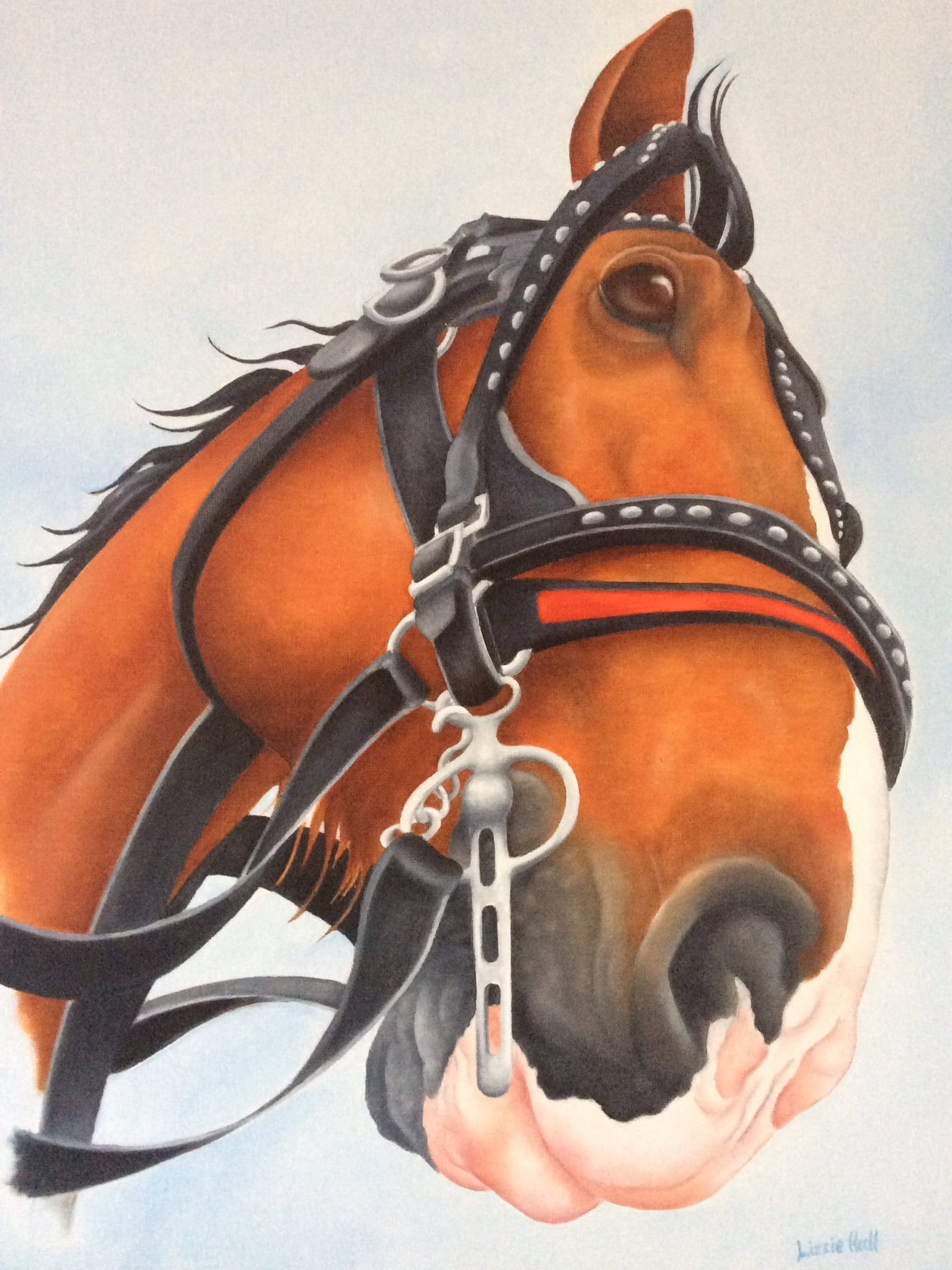 Clydesdale Heavy Horse Original Oil Painting Gift Art Etsy UK