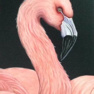Flamingo print, painting, gift, art, picture