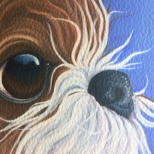shih tzu print, painting, gift, art, picture