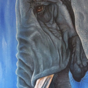 Elephant print on canvas, painting, gift, art, picture