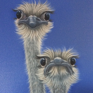 Ostrich painting on canvas, print, gift, art, picture