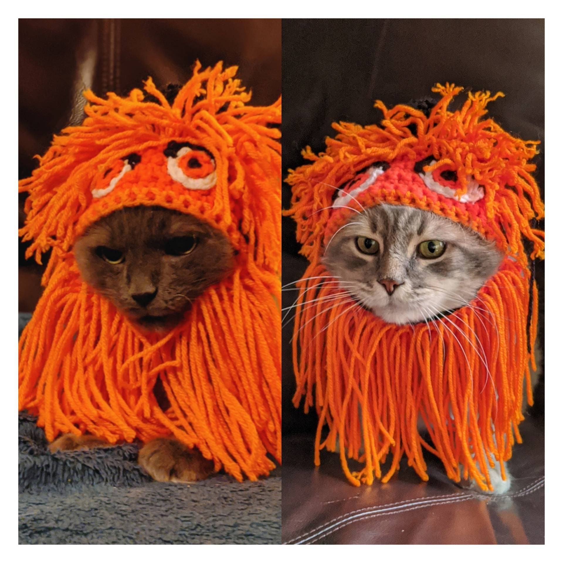 Gritty Hat for Pets - Etsy