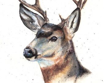 ARCHIVAL WATERCOLOR PRINT, deer, buck, white tail, white-tailed, Michigan, wildlife, nature, hunting, contemporary watercolor, brown, tan