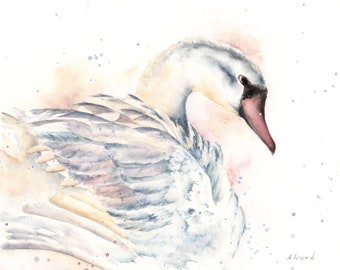 Swan of Colors