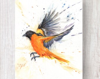 Oriole Takes Flight
