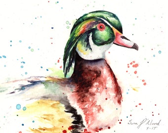Watercolor wood duck