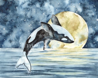 Midnight Orca