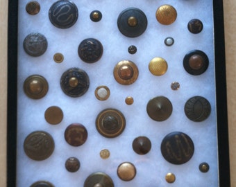 Antique Button Collection
